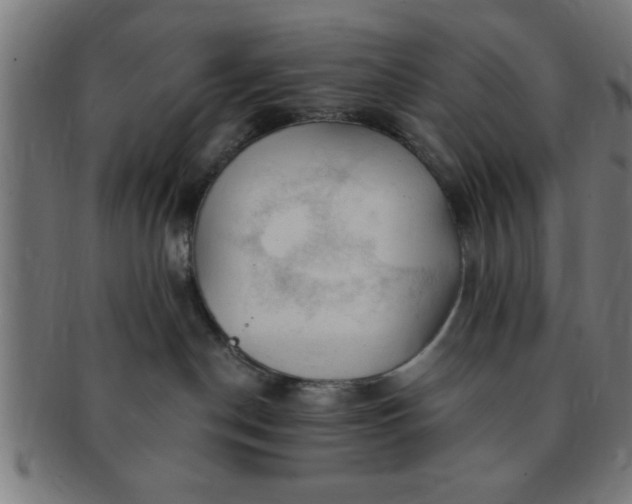 X0000091350190200708241256