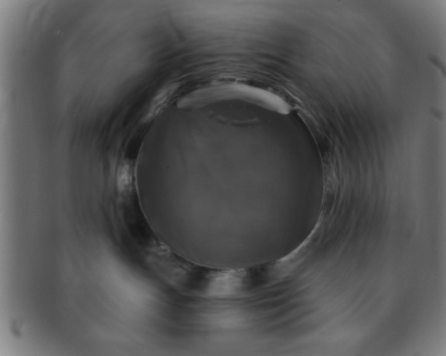 X0000091350191200708241256