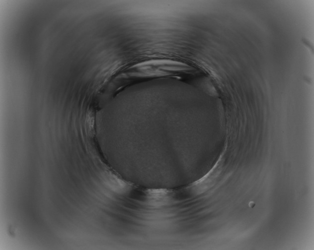 X0000091350192200708241256