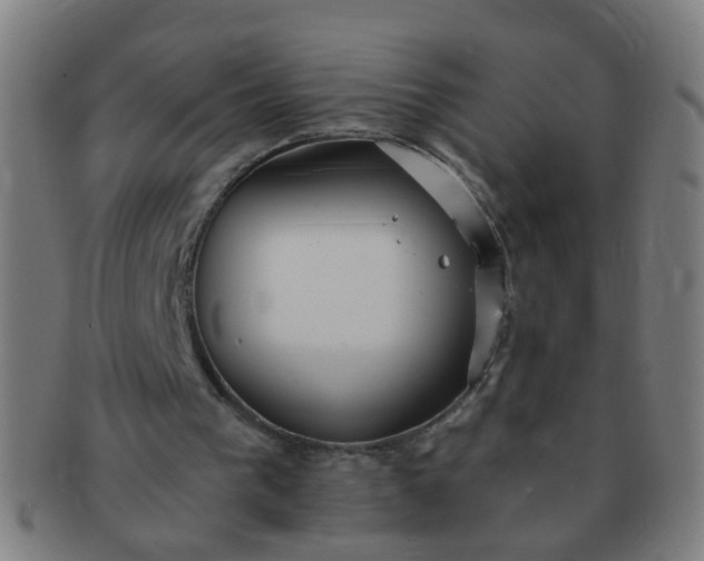 X0000091350193200708241255