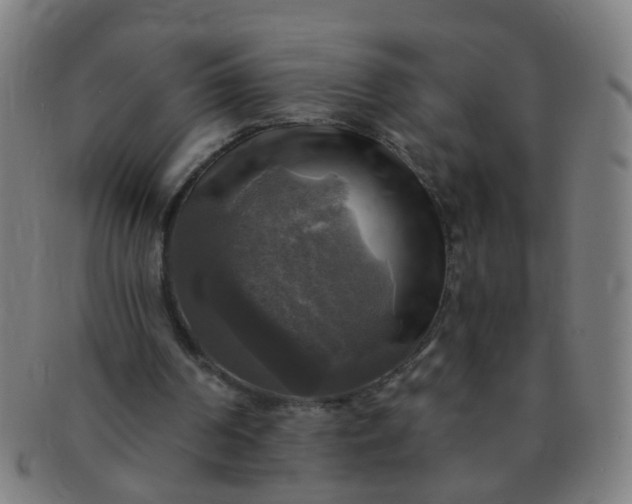 X0000091350194200708241255