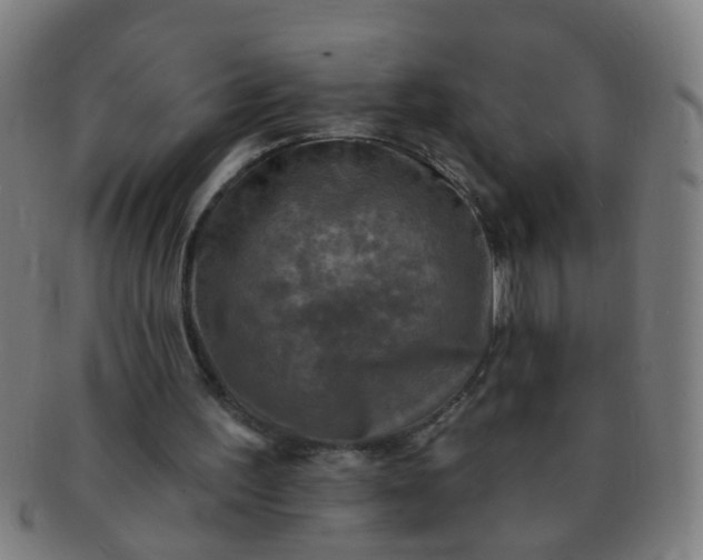 X0000091350195200708241255
