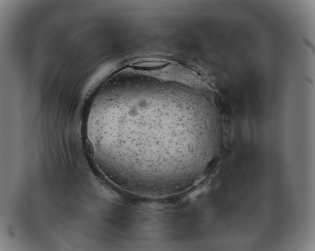 X0000091350197200708241255