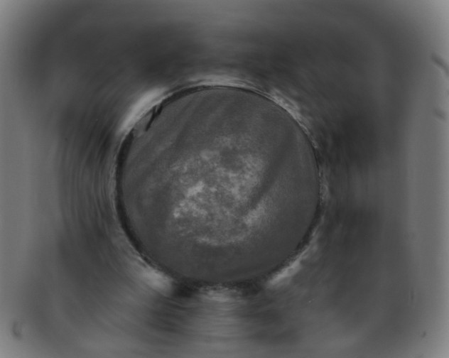 X0000091350199200708241255