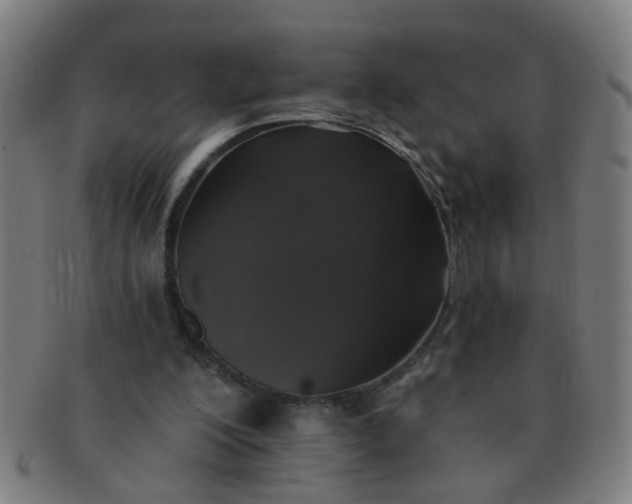 X0000091350200200708241255