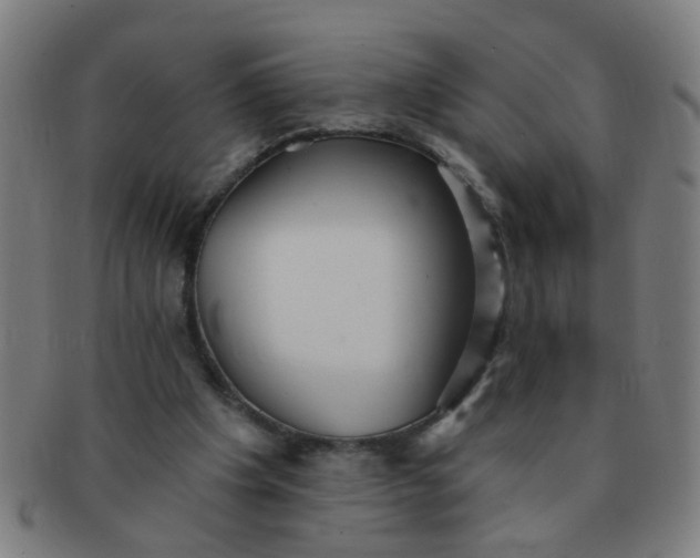 X0000091350201200708241255