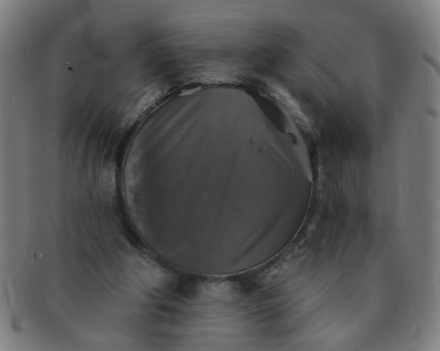X0000091350202200708241255