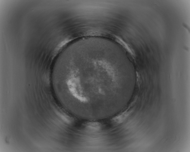 X0000091350203200708241255