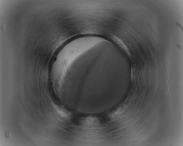 X0000091350204200708241255