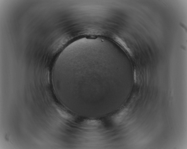 X0000091350205200708241255