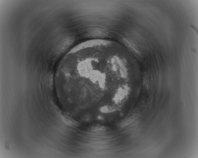 X0000091350206200708241255