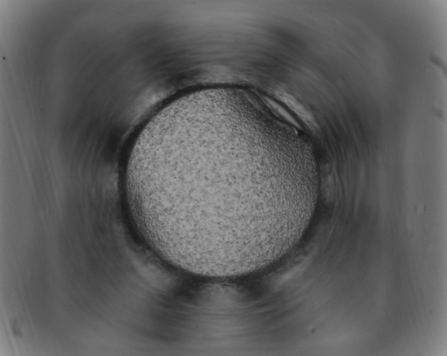 X0000091350207200708241255
