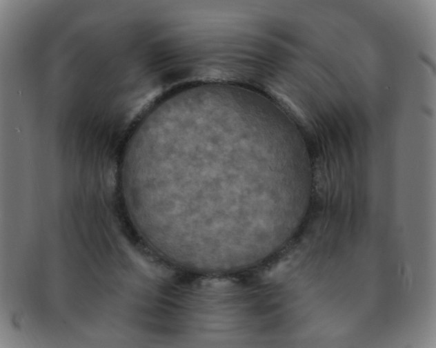 X0000091350208200708241255