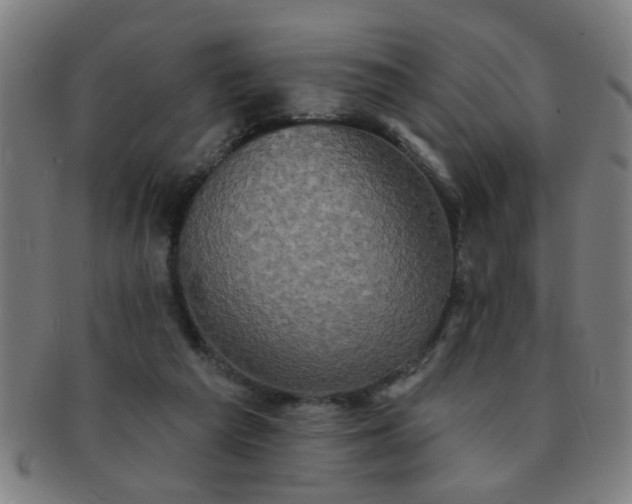 X0000091350209200708241255