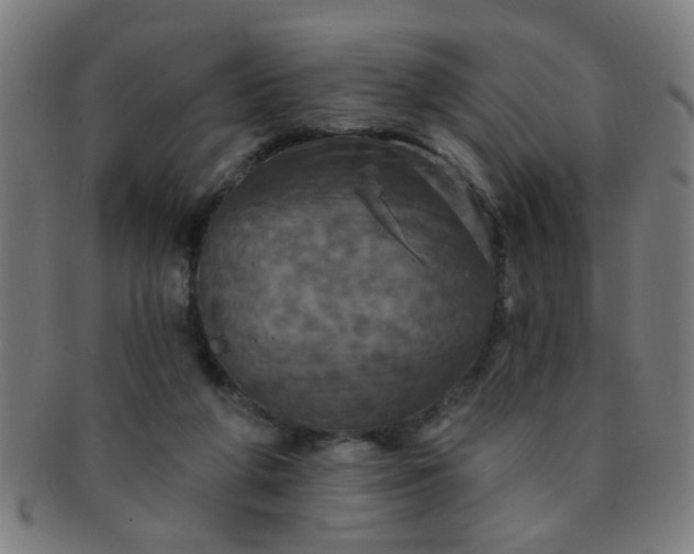 X0000091350210200708241255