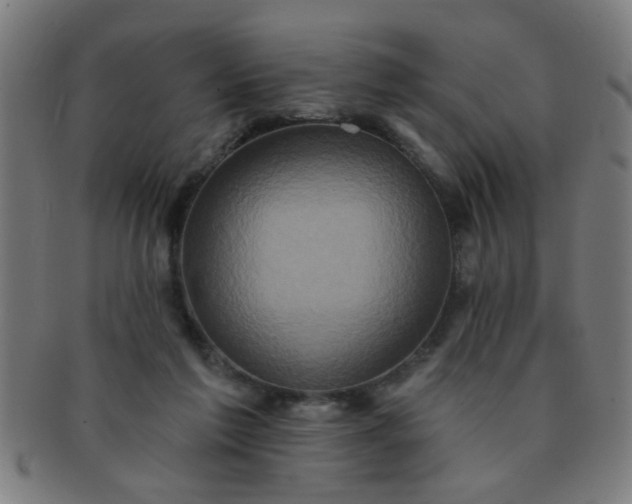X0000091350213200708241255
