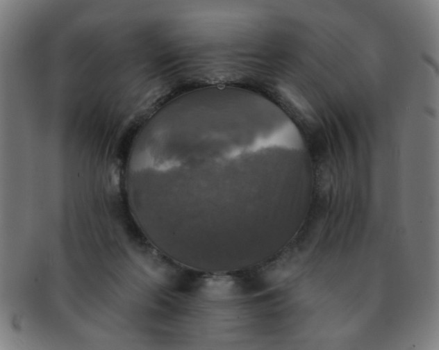 X0000091350214200708241255