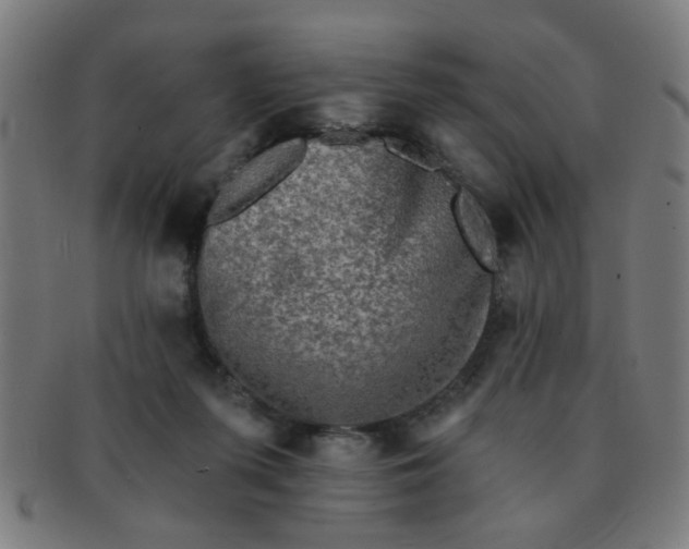 X0000091350215200708241255