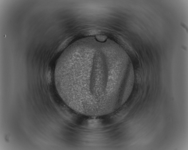 X0000091350216200708241255