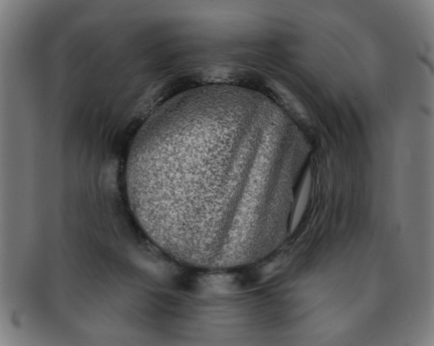 X0000091350217200708241255