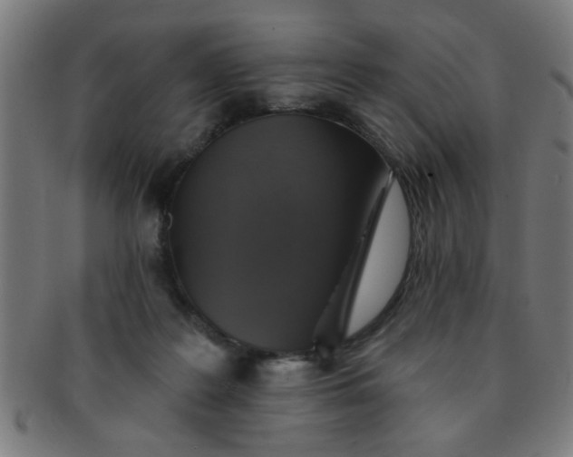 X0000091350219200708241255