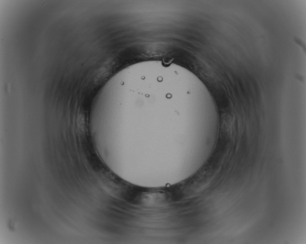 X0000091350220200708241254