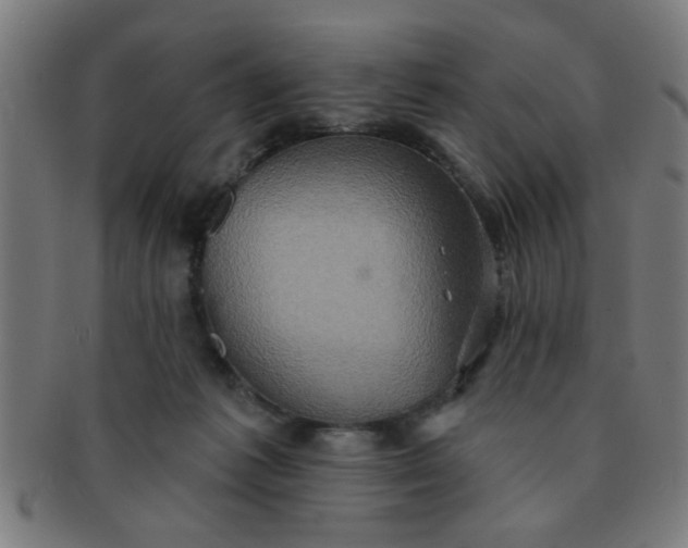 X0000091350221200708241254