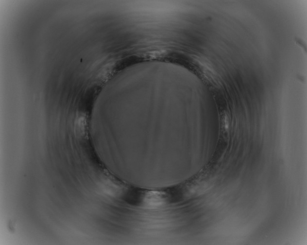 X0000091350222200708241254