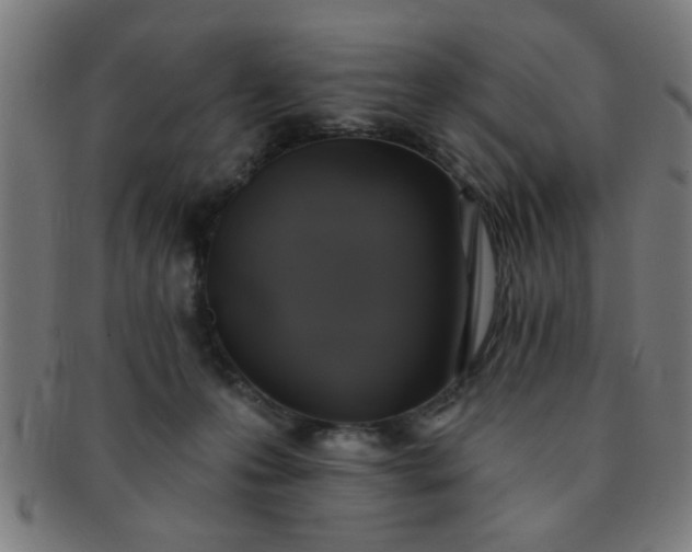 X0000091350223200708241254