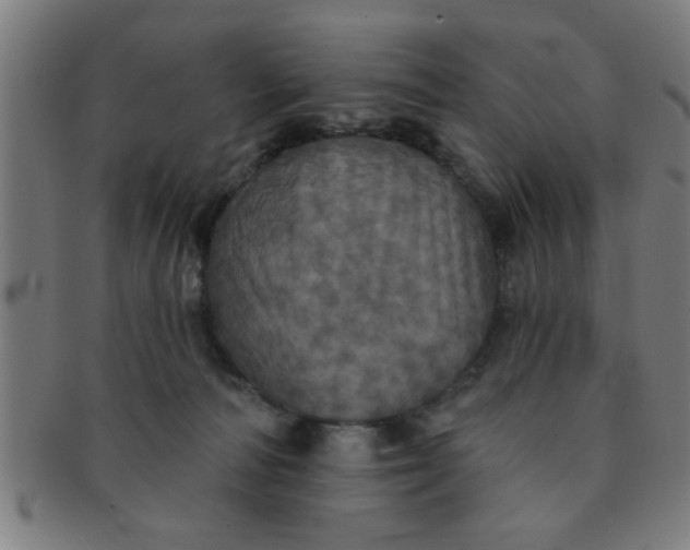 X0000091350226200708241254