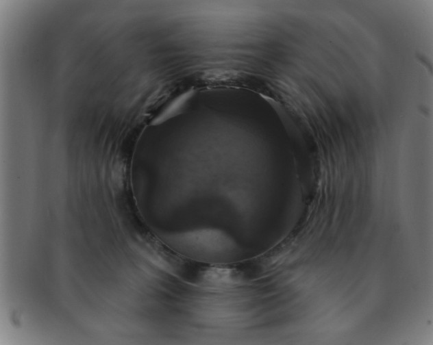 X0000091350227200708241254
