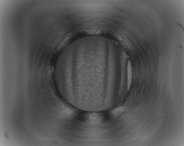 X0000091350229200708241254