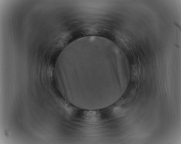 X0000091350230200708241254