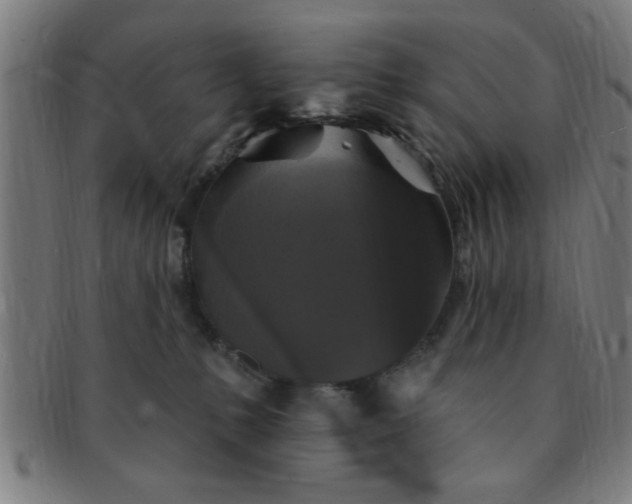 X0000091350231200708241254