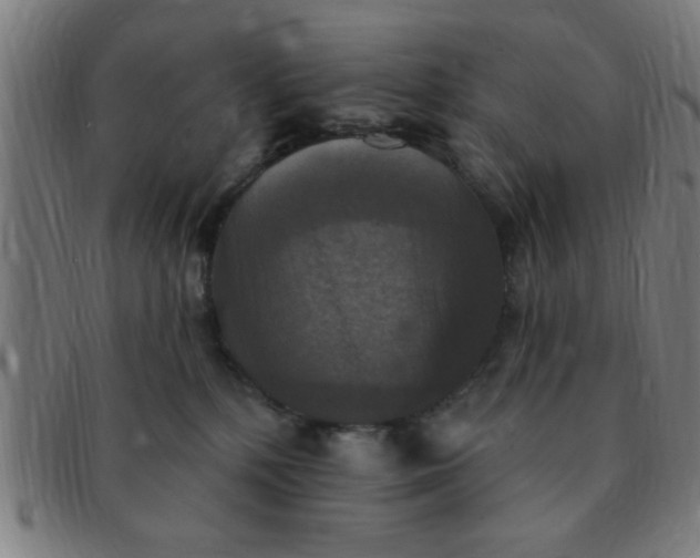 X0000091350232200708241254