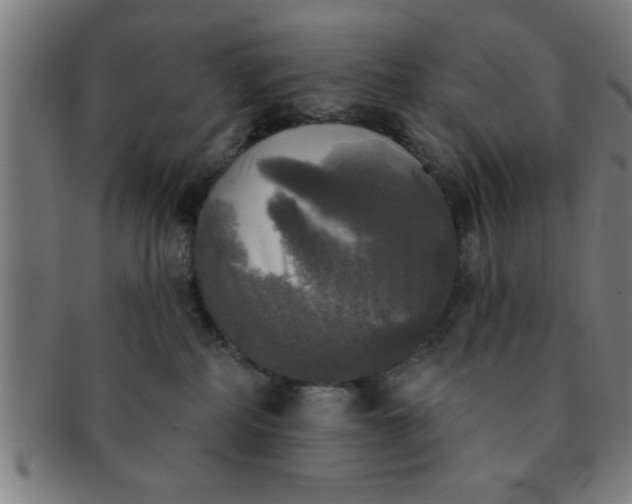 X0000091350234200708241254