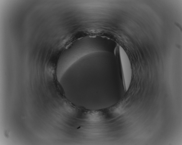 X0000091350235200708241254