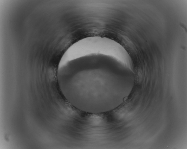 X0000091350236200708241254