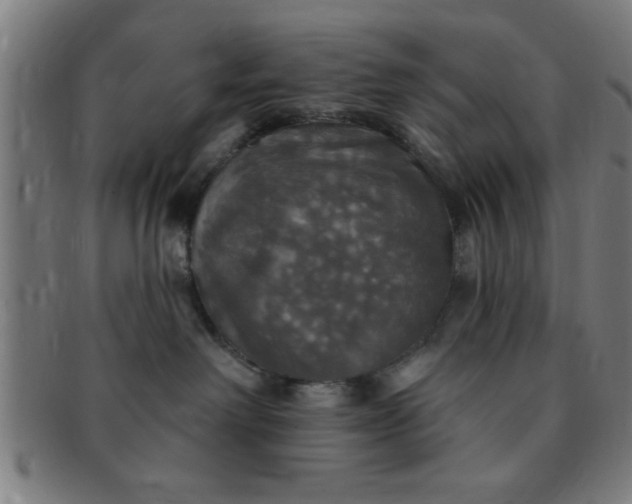 X0000091350238200708241254