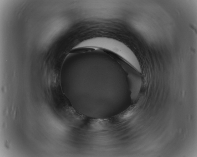 X0000091350239200708241254