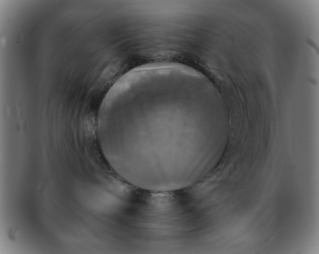 X0000091350240200708241254