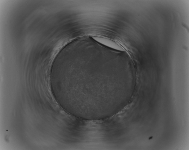 X0000091350241200708241253