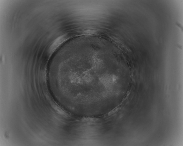 X0000091350242200708241253