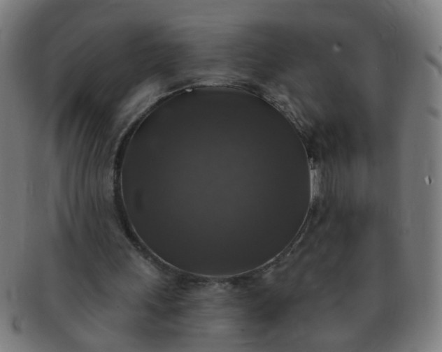 X0000091350243200708241253