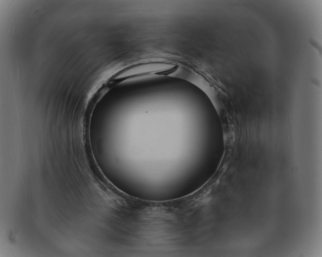X0000091350244200708241253