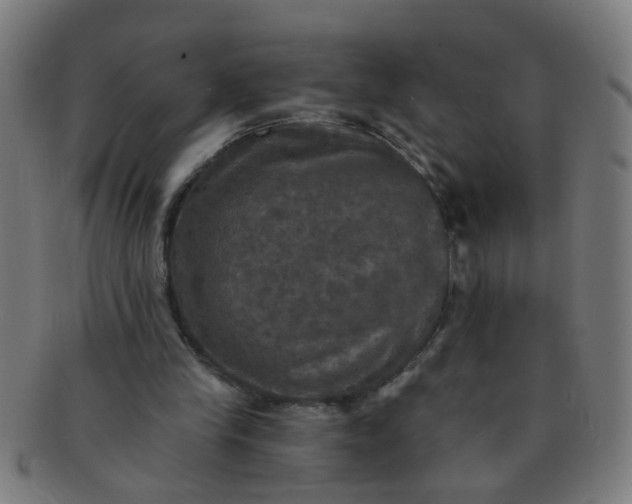 X0000091350245200708241253