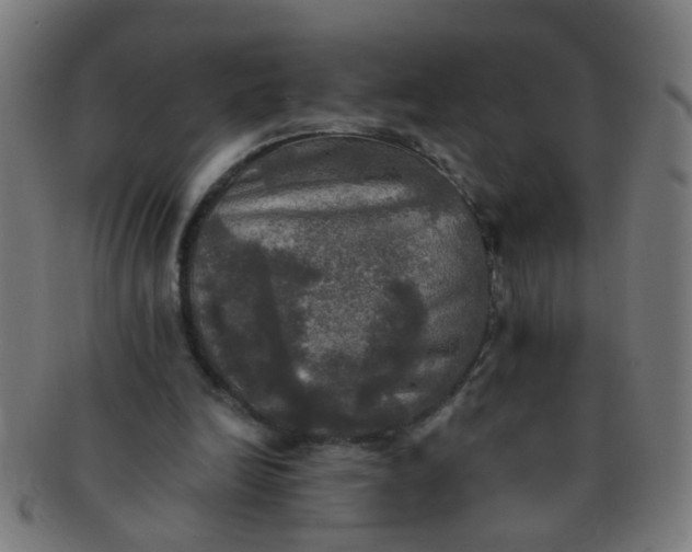 X0000091350246200708241253
