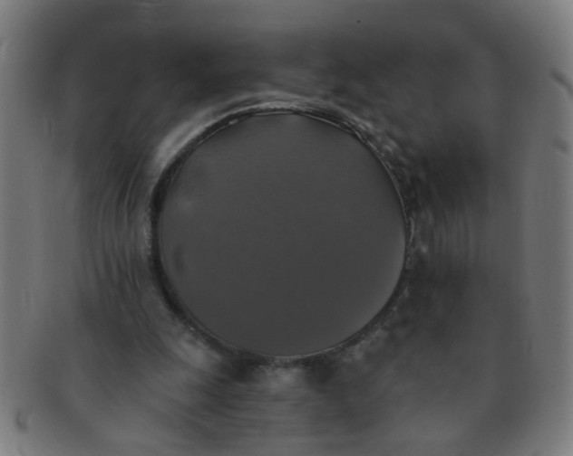 X0000091350247200708241253