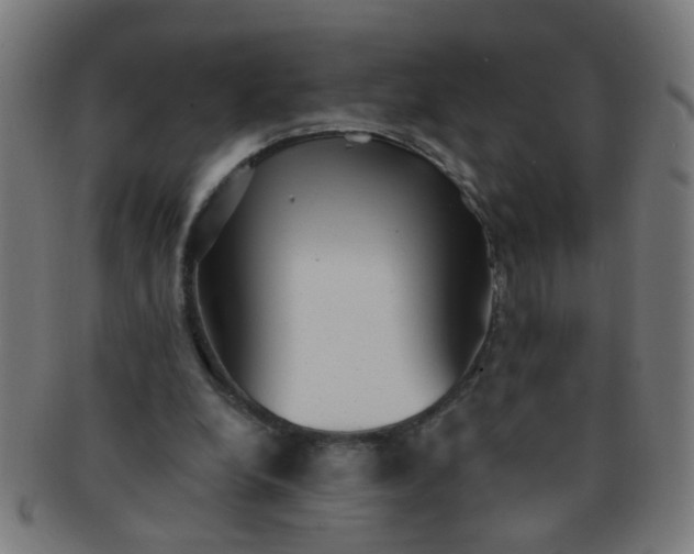 X0000091350248200708241253