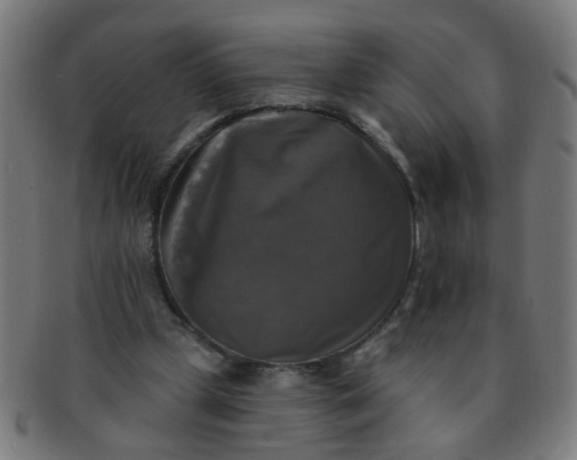 X0000091350249200708241254